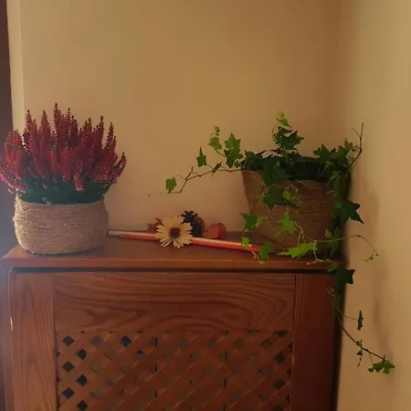 La Pigna Dom wakacyjny Castel Di Sangro